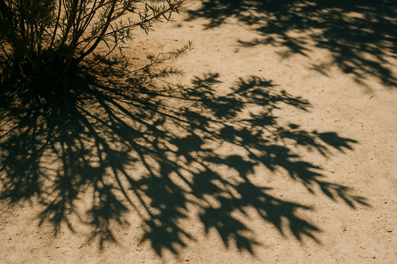 Shade and route planning, editorial abstract